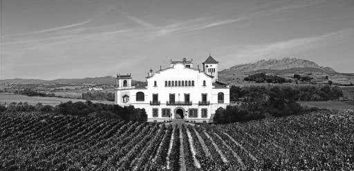 Bodega vinos Catalunya