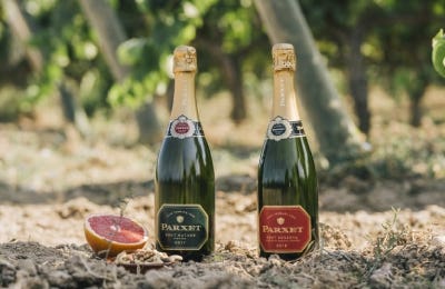 Cava Parxet Vins de Catalunya