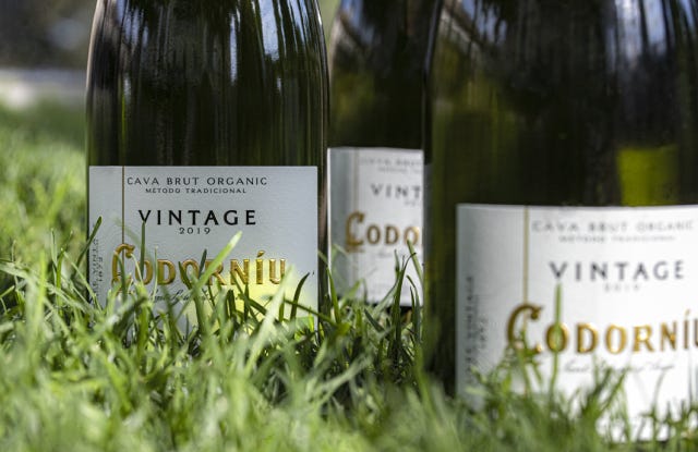 Cava or champagne differences
