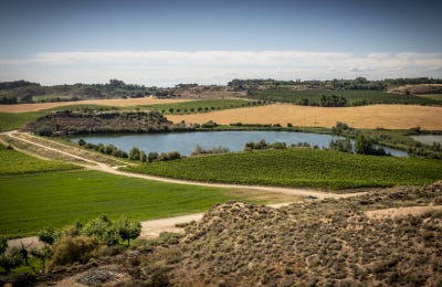 Viñas cava ecológico