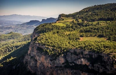 Viñedos Priorat