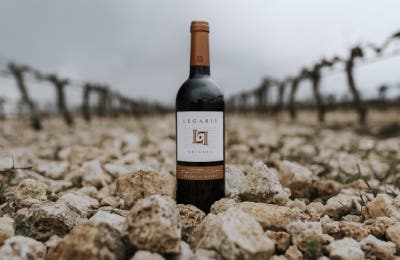 Vino Ribera del Duero Legaris