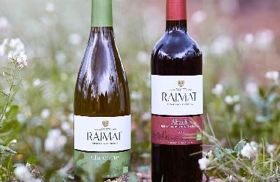 vinos raimat eco