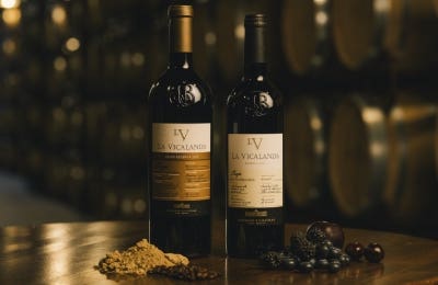 vinos tintos gran reserva la vicalanda