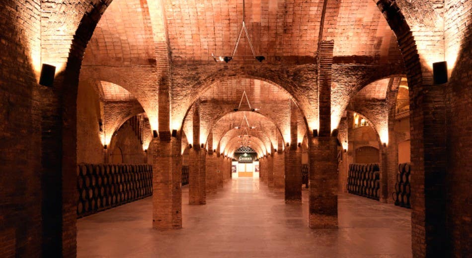 Visit Codorníu cava