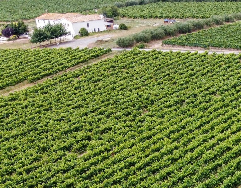 Vinos Penedès