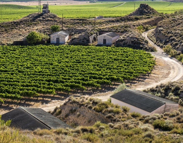 Vinos Costers del Segre