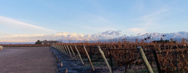 Vinos de Argentina