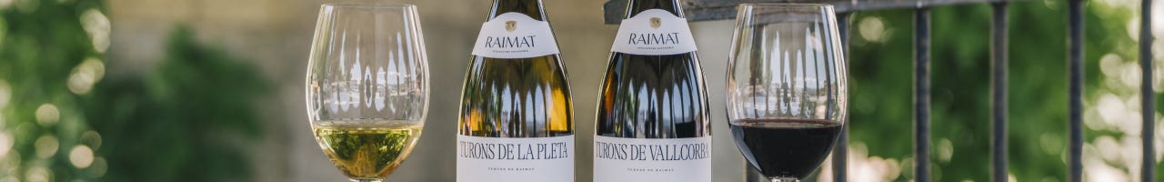 Regalos para amantes del vino