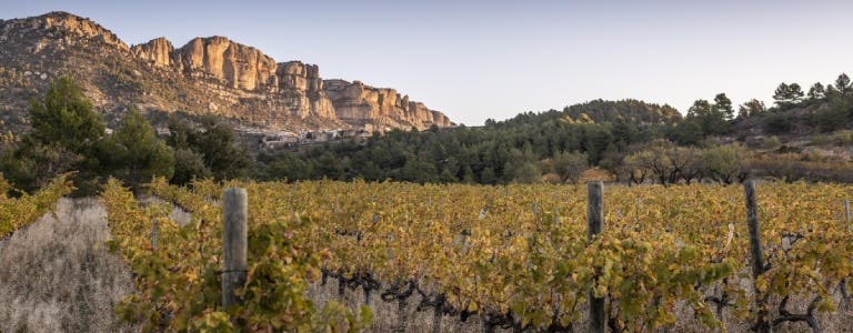 Vinos tintos Priorat