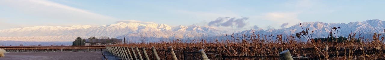 Vinos de Argentina