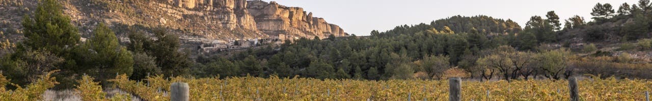 Vinos tintos Priorat