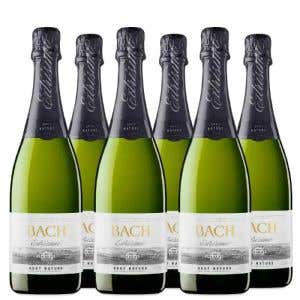 Cava Bach Extrísmo Brut Nature (Outlet)