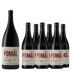 Pack 6 Viña Pomal Reserva + Magnum