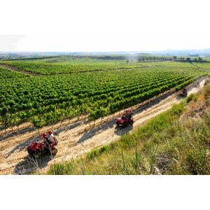 Descubriendo el viñedo en quad