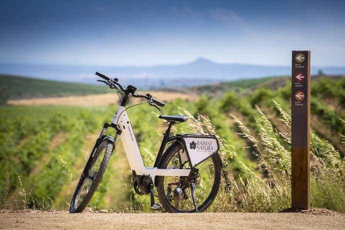 Electric bikes Renting