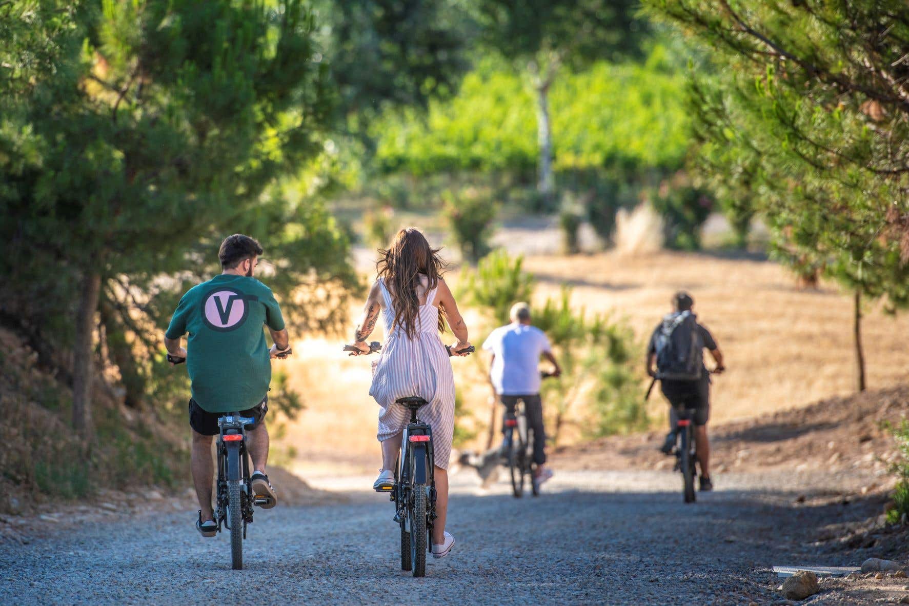 Visita guiada por la viña en bicicleta