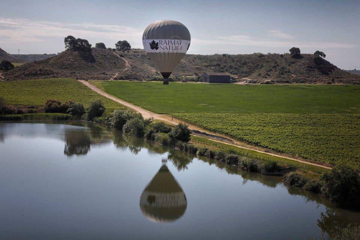 Vuela en globo