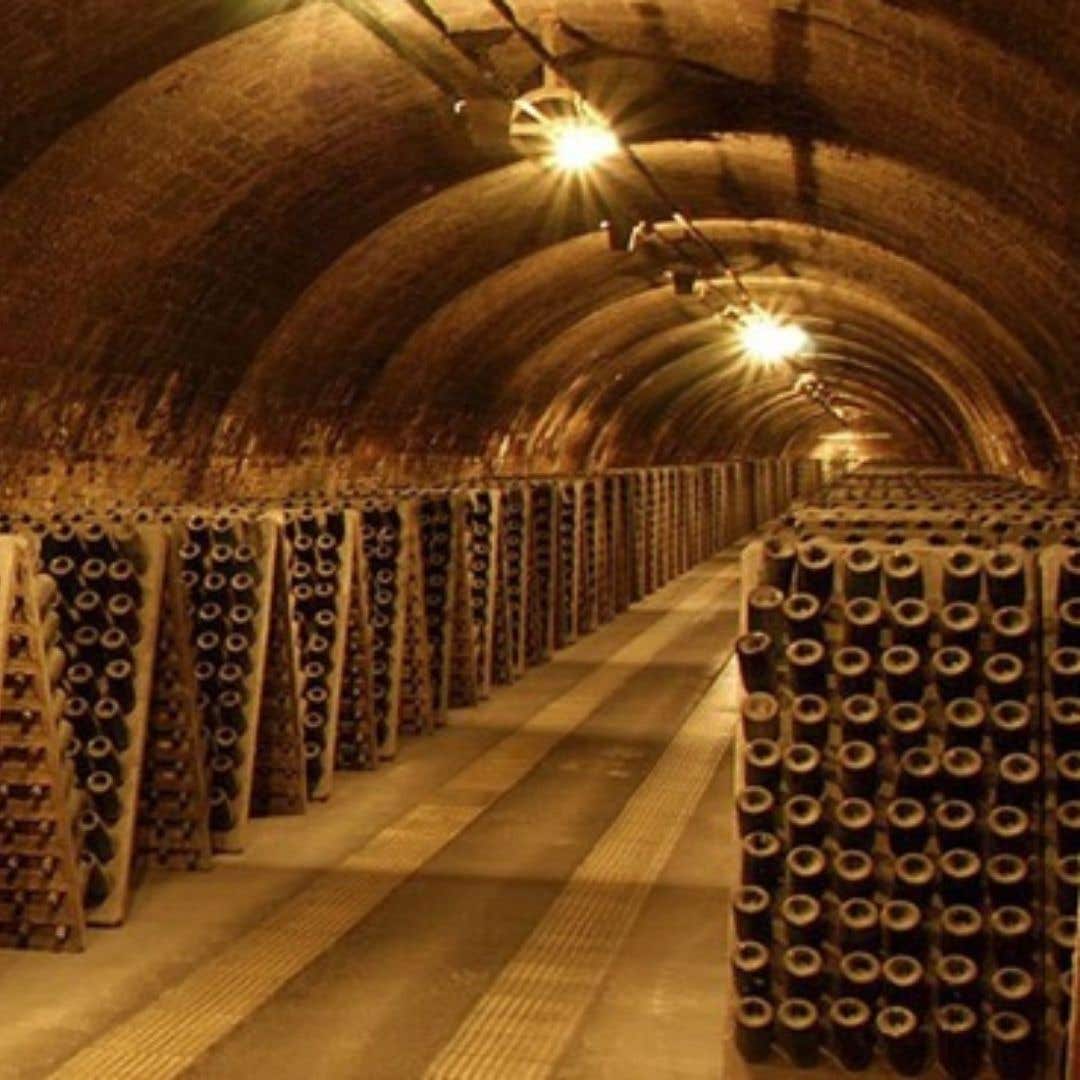 Regala Codorniu Discovery Tour