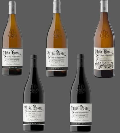 Cata Flight 3 Colección Terroir Blancos