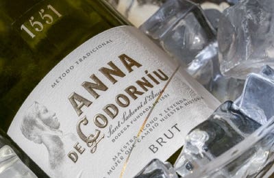 Cubitera con cava brut Anna de Codorníu