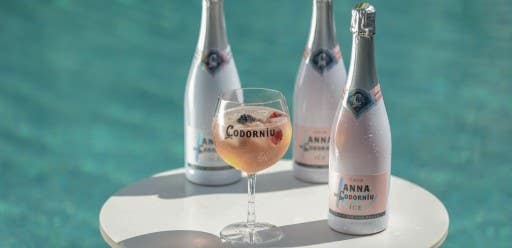 anna de codorniu ice