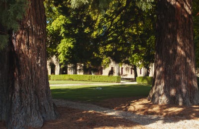 Best of Wine Tourism 2025