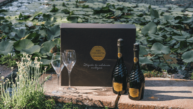 Box of sparkling wines