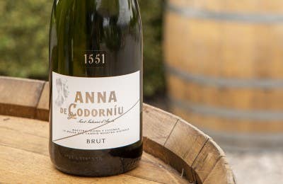 cava anna de codorniu