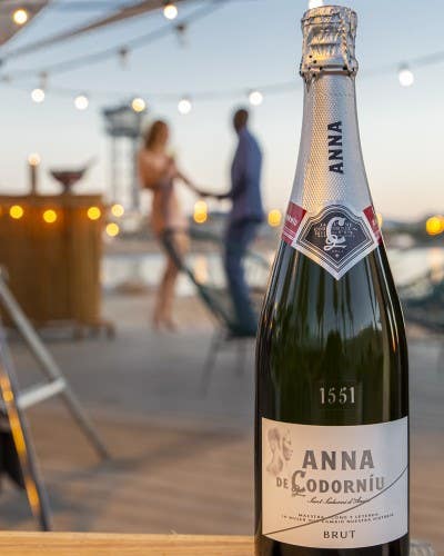 cava codorniu brut