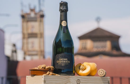 Jaume Codorníu Pinot Noir