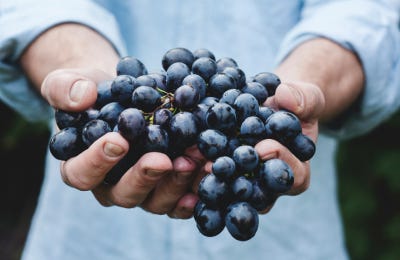 Levaduras de la uva