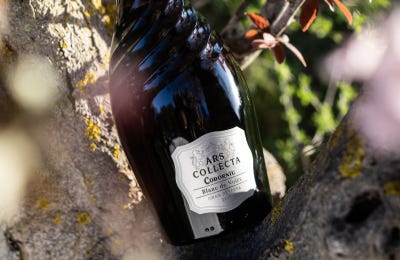 Mejores vinos de España