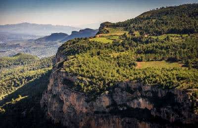 Campos vino Scala Dei