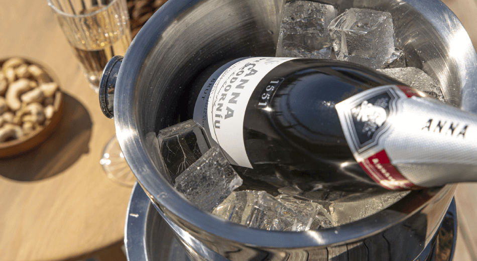 Sparkling wine in ice bucket