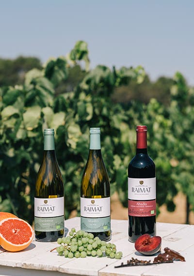 botellas vino tinto