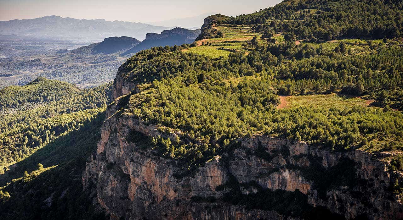 Mejores vinos del Priorat